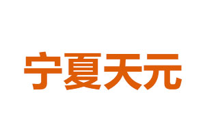 宁夏天元
